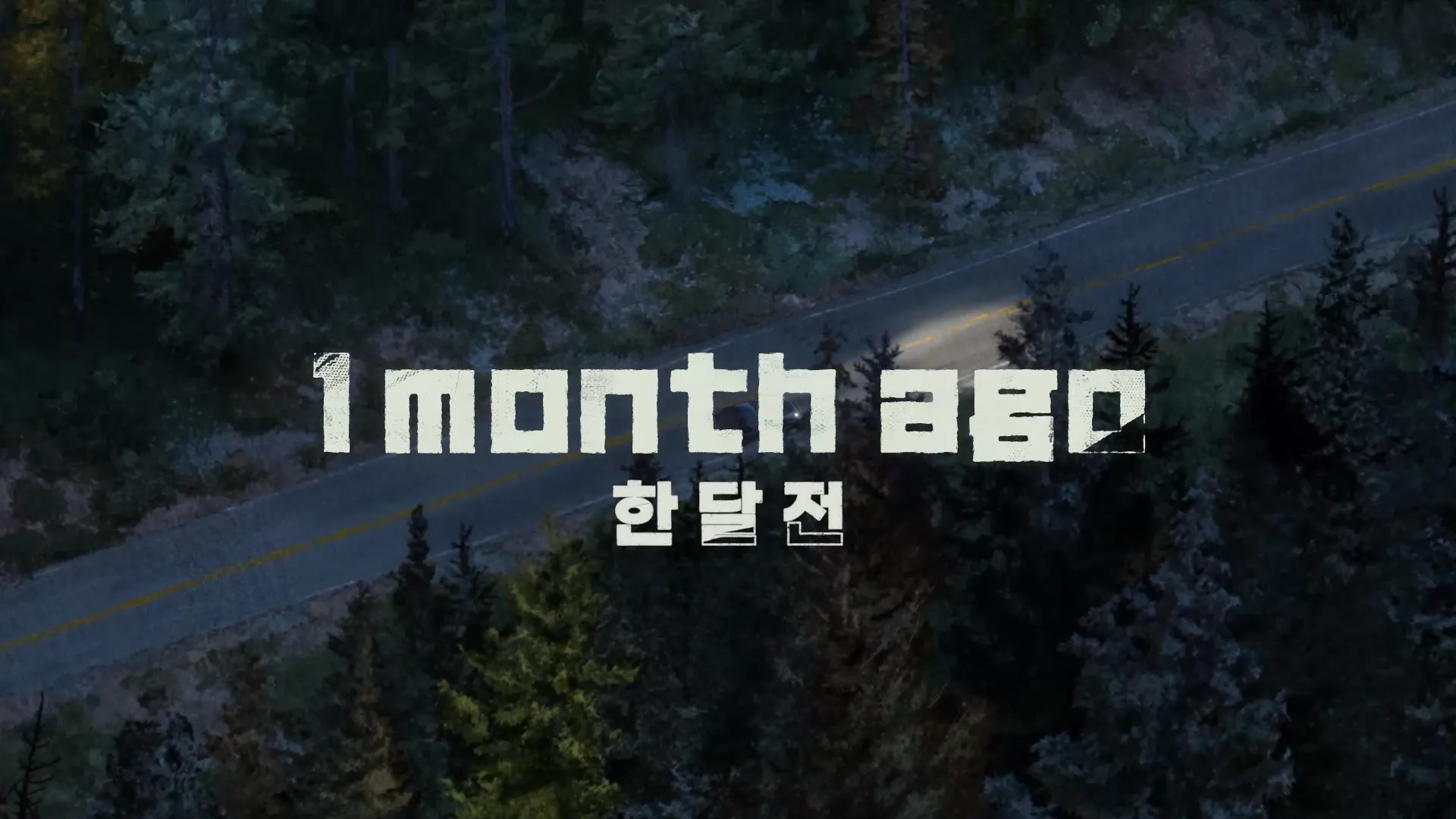 자막 디자인 및 효과 - 01